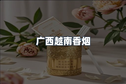 广西越南香烟